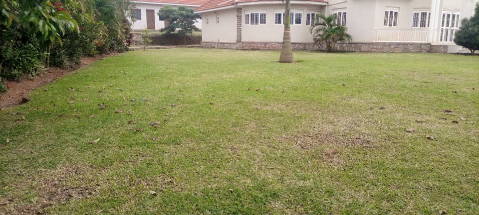 WhatsApp Image 2021-08-15 at 5.30.27 PM.jpeg